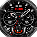 WFP 239 Analog watch face