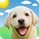 Weather Puppy - App & Widget