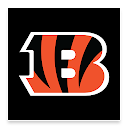 Cincinnati Bengals