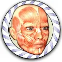 Speed Anatomy Quiz Free