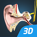 聴覚教育VR3Dの仕組み