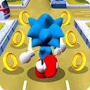 Blue Hedgehog Run Drive Race