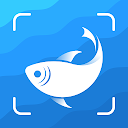 Picture Fish - Fish Identifier