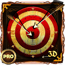 Archery 3D Pro