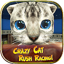 Crazy Cat Rush Racing